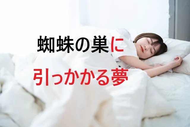 蜘蛛の巣に引っかかる夢の意味は？夢占いで運勢を占おう